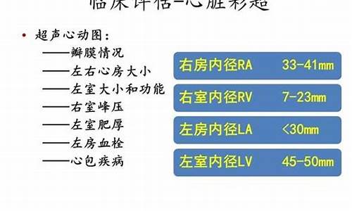 心房颤动游戏攻略_心房颤动讲解